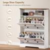 Shoe Cabinet with 2 Flip Drawers, Narrow Shoe Storage Cabinet, White