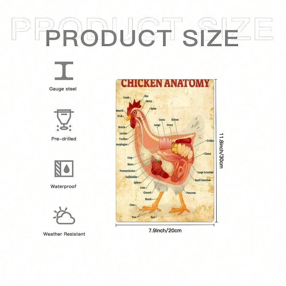 Vintage Chicken Anatomy Metal Tin Sign Retro Farmhouse Wall Art Bar Decor 8x12 Inch Unframed Plaque