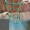 4Pcs Plastic Plant Support Pile Orchid Stand Holder For Flowers Semicircle Greenhouses Fixing Rod Holder Bonsai