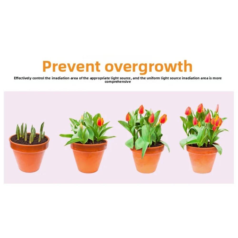 LED Grow Light Bulb E27 220V Full Spectrum 200/300LED Plant Lamp for Indoor Garden Seedling Greenhouse Hydroponics Grow Tent