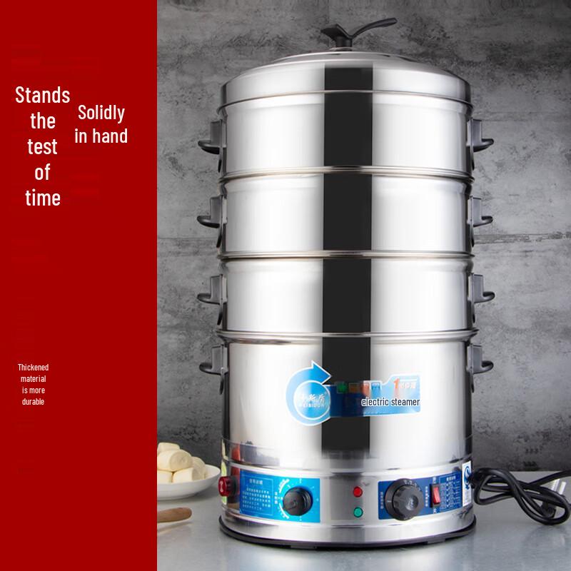 

ZISIZ Electric Steamer with Timer