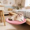 Bed with Anchor, Functional , Spacious And Easy to Assemble, Suitable for Home Study Rooms