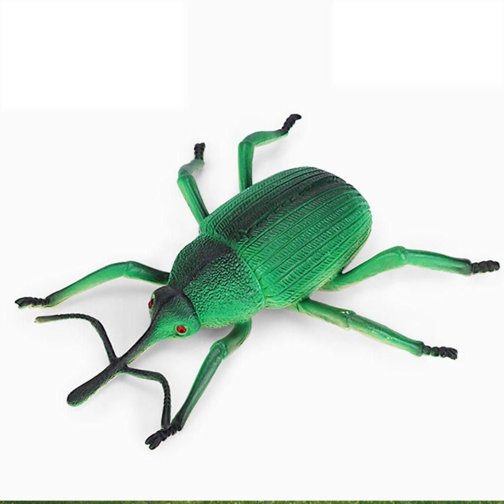 Cricket Simulated Insect Model Spiders Simulation Wildlife Model Science Toy   Children Gifts