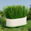 Removable Cat Grass Planter Box Layered Design Hydroponic Cat Grass Box  Home Decor