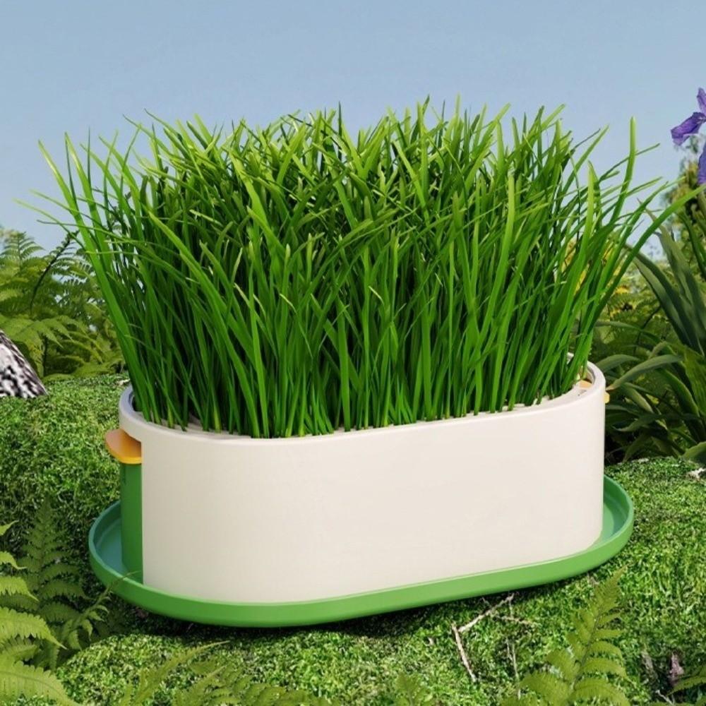 Removable Cat Grass Planter Box Layered Design Hydroponic Cat Grass Box  Home Decor