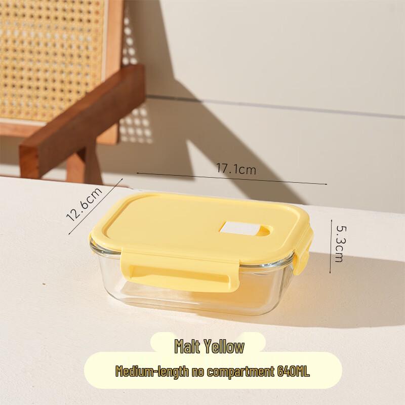 BOLIDOMI Rectangular Glass Lunch Box