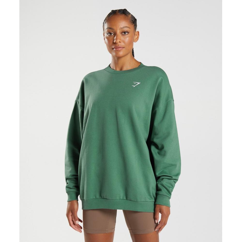 

Gymshark Тренировочная толстовка большого размера Hoya Green B2a8k Ebrf S
