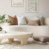A Contemporary Style Thick Plush Solid Color Cushion Cover, Soft Textured Pillowcase for Sofa, Car, Office, Bedroom, Made of Polyester, Zipper Closure