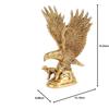 XOMARK Brass Flying Eagle Statue Hawk Sculpture Feng Shui Decorative Handmade Wild Bird Garuda Statue for Home