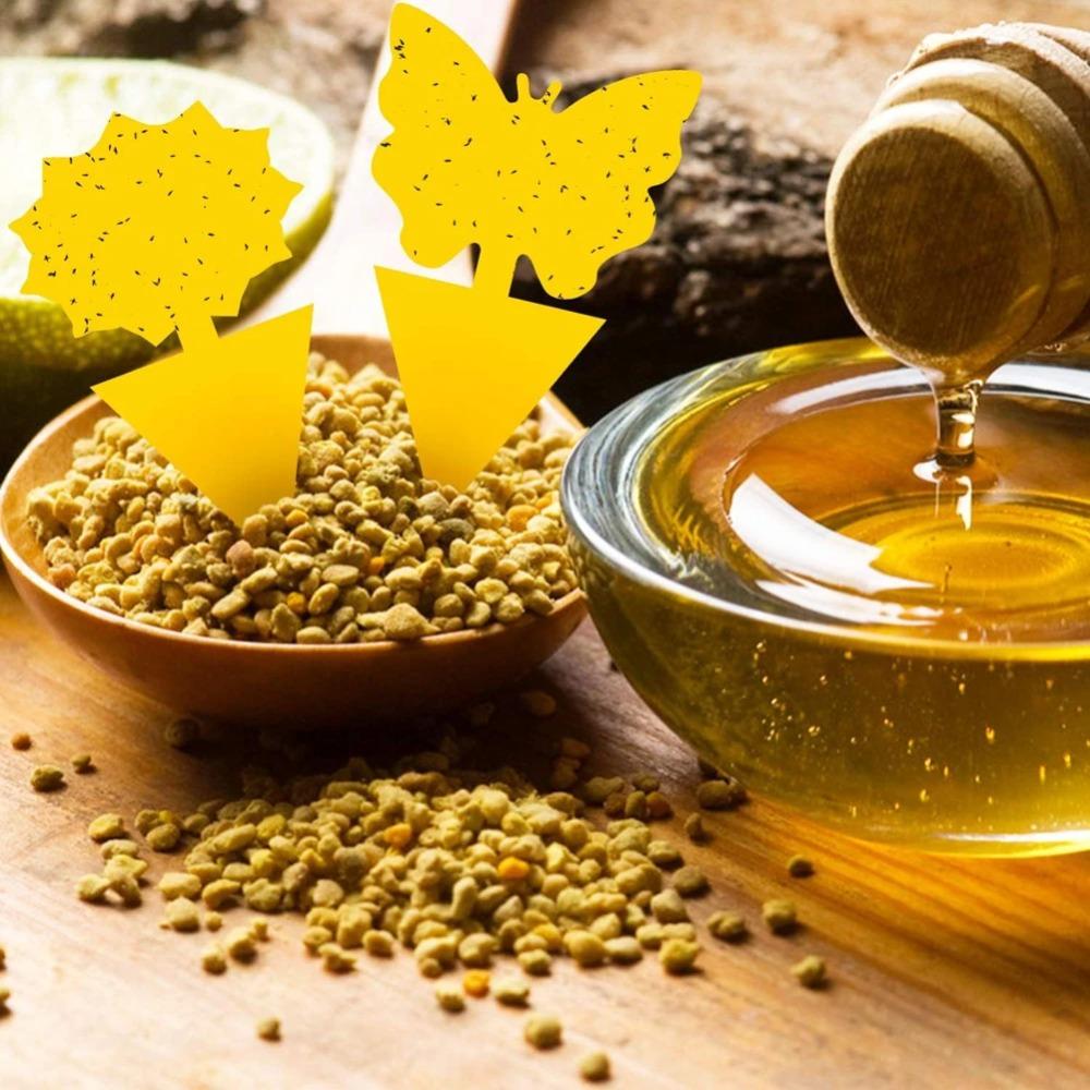 Insect Traps Protect The Plant Double Sided Gnat Traps Non-Toxic and Odorless Sticky Board Traps for Garden Plants Kitchen