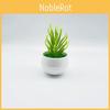 Plastic Desert Simulated Succulent Plant Desktop Decoration Plant Potted