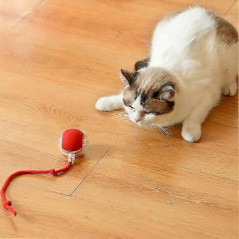 Smart Cat Rolling Ball Auto-Avoid Obstacle Interactive Pet Toy
