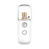 Portable Small Pill Spray Meter Hydrating Beauty Moisturizing Hydrating Meter Facial Beauty Humidifier