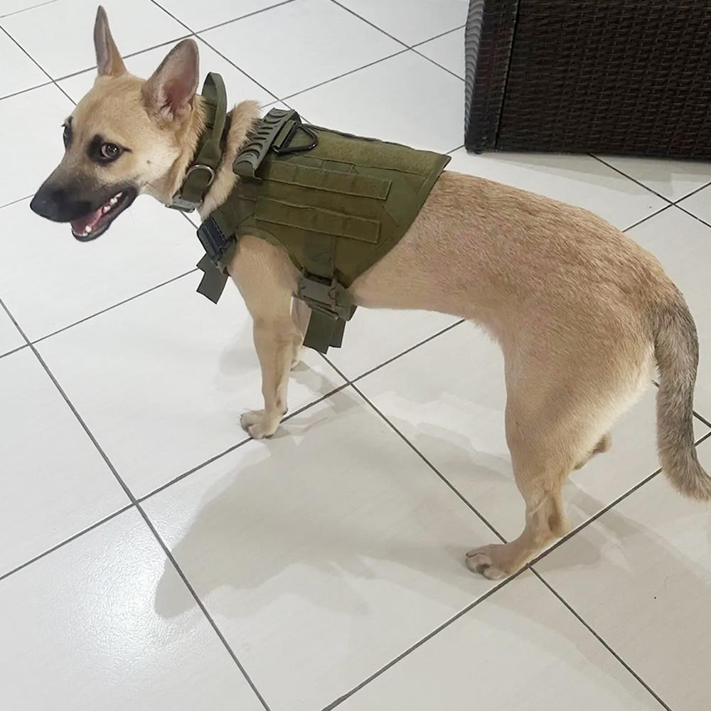 Tactical Dog Harness Leash Collar Set Large Pet German Shepherd Malinois Training Harnesses Walking Vest For Medium Large Dogs