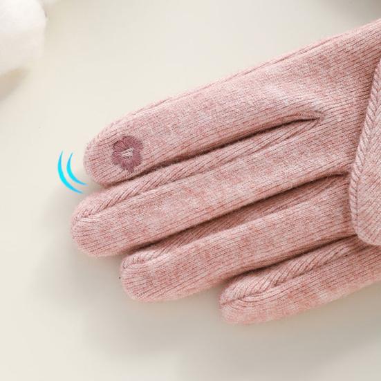 Winter Gloves for Women Touch Screen Windproof Warm Gloves Thermal