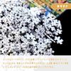 MISITU Jigsaw Micro 1000 Stylish Interior Antique Bookshelf x 38 Puzzle, Pieces, Pieces, Landscape, Painting, Book, Gift, Birthday, Christmas, Decor,