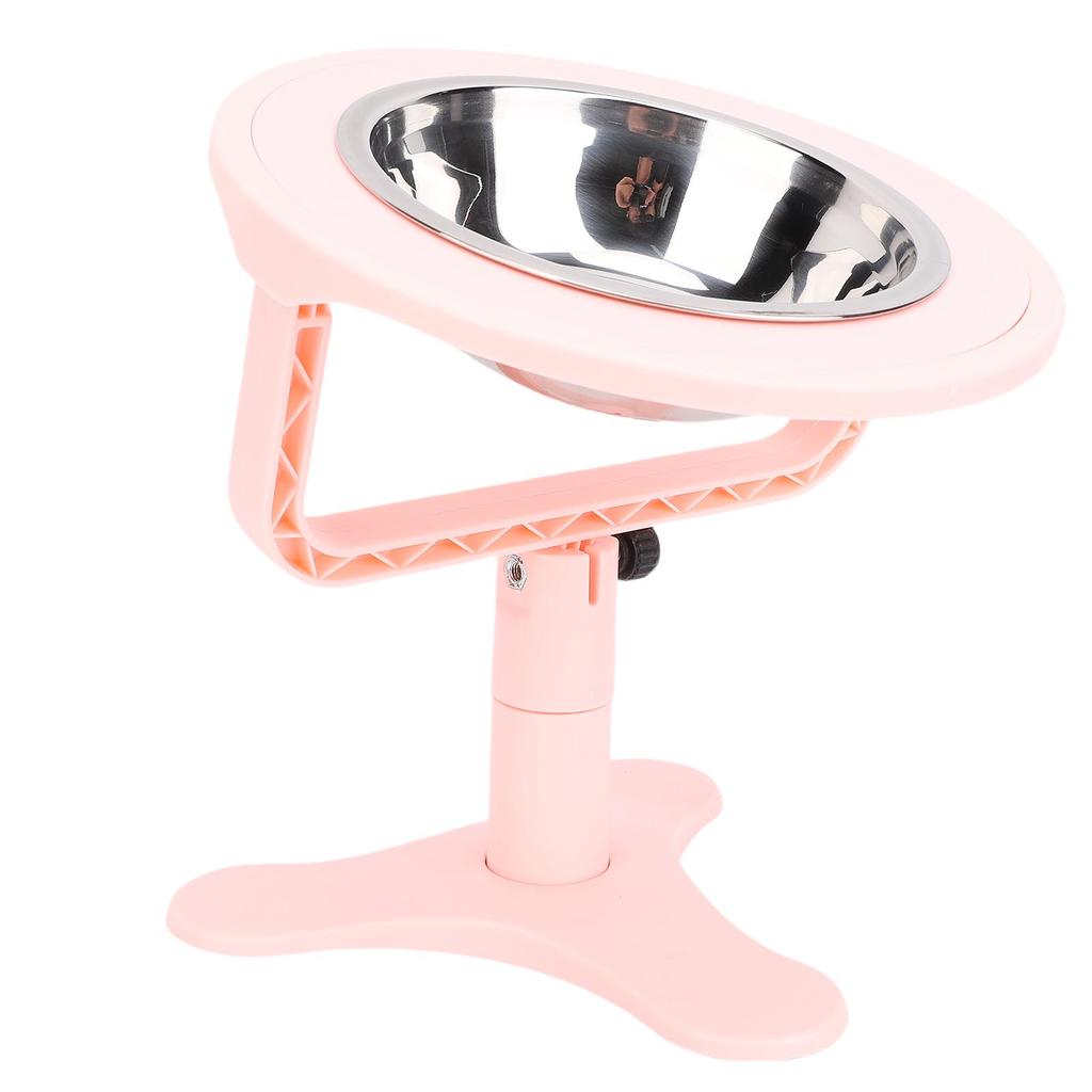 Elevated Cat Bowls with Stand 15 Tilted Stainless Steel Anti Slip Feeder for Indoor Pets