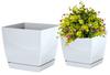 Coubi Square Flowerpot with Saucer, White, 12x11cm