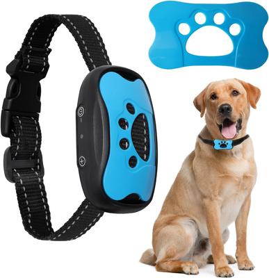 Cães – Equipamento de formação eletrónico