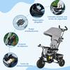 Evolutionary Tricycle, 12+ Months, Foldable Canopy, Telescopic Push Handle, Safety Belt, Gray