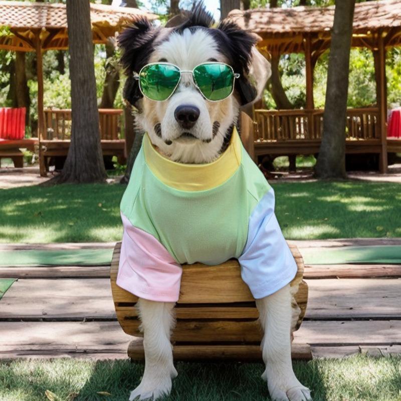 Pet Cat and Dog T-shirt Milk Silk Polyester Fabric Elastic Feel Delicate Dog T-shirt Color Matching Short-sleeved T-shirt