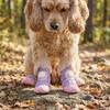 4PCS Anti-Slip Pet Mesh Boots Adjustable Pet Paw Protector Wear-resistant Dog Sneakers  Rainy Days