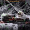 20/50PCS Halloween Spiders Figurine Props Noctilucence Spiders Props Light Up Realistic Spiders Party Favor Bag Fillers