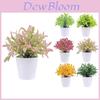 Artificial Plant Indoor Outdoor Decor Plastic Pot Greenery Tabletop Ornament For Home Office