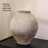 Zen Wabi-sabi Dried Flower Vase for Living Room or Hotel Decor with Dragon Jujube Branches
