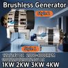 Generatore Alternatore Dinamo a Magneti Permanenti 3KW 4KW 12V 24V DC 220V Monofase Energia Nuova Potenza Per Illuminazione Domestica Barca