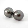[Used] K14WG South Sea Black Pearl Earrings/j12-2
