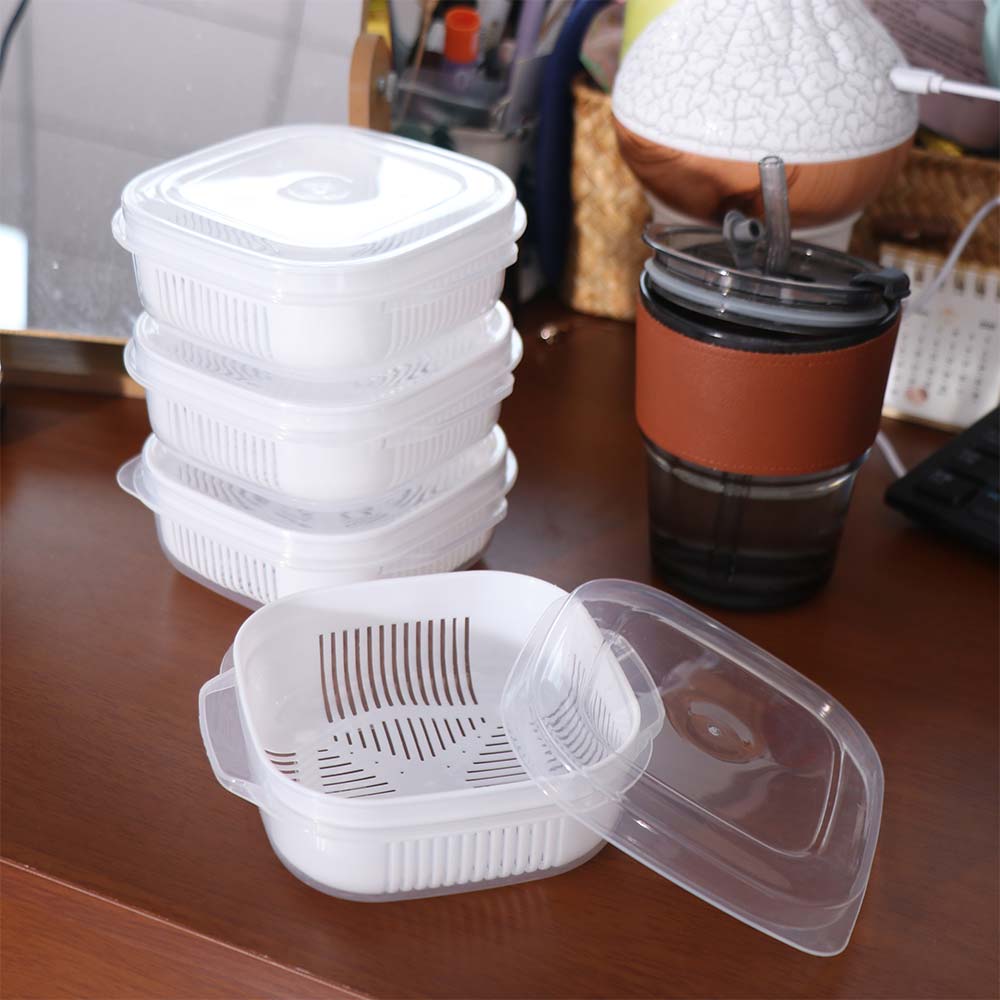 6Pcs Double Layer Food Storage Containers with Lids Rice Crisper  Food Storage