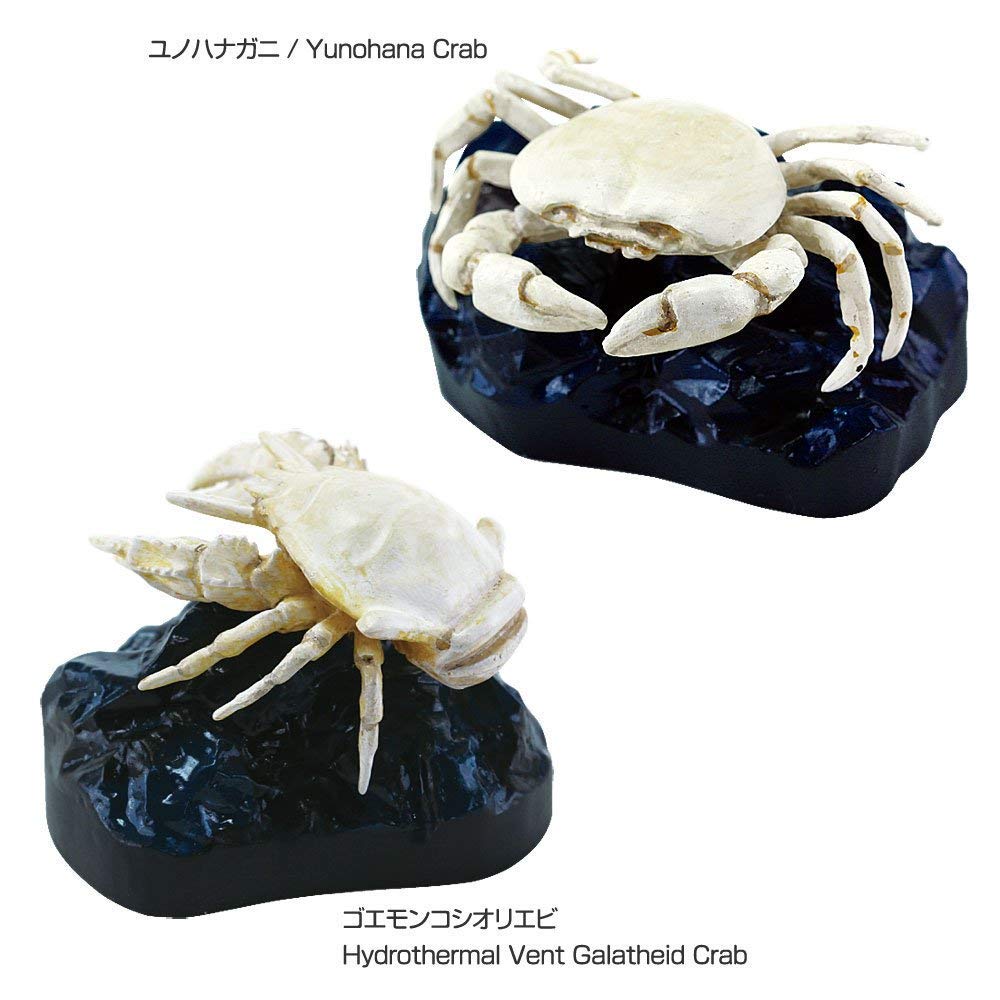 Calorata Deep Sea Creatures 3D Encyclopedia Crab 8 Species Includes Instruction Manual and Realistic Figures Birthday Present Gift Sanitation Law Toy