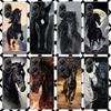 Animal Black Horse Phone Case for Xiaomi Poco F7 Ultra X7 X6 X5 Pro X4 Gt M8 M7 Redmi 15 15C 13 13C 12 12C Soft Cover Fundas Poc