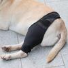 Ginocchiera per Cani per Dolore Articolare Supporto per Gamba Muscolare Anteriore o Posteriore per Cani Anziani Disabili Infortunati