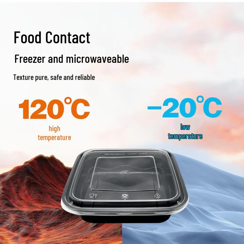 WEISHENG Disposable Square Microwavable Food Containers