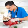 Cat Bathing Bag, Breathable Mesh Cat Shower Bag Anti Scratch Adjustable Cat Grooming Bag For Nail Trimming, Bathing Polyester So