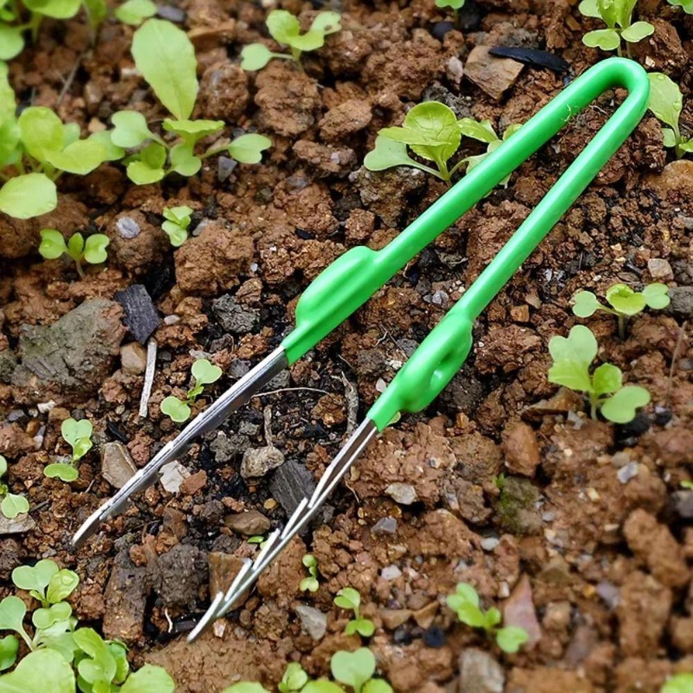 Stainless Steel Succulent Transplant Clip Multifunctional Plant Care Clip Daily Gardening