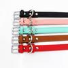 Affordable Comfort Dog Cat PU Leather Collar Adjustable Pet Accessories for Small Dogs Puppy Mascotas Supplies Collier Chien