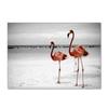 Flamingo Large Carpet Feather Wind Bedroom Floor Mat
