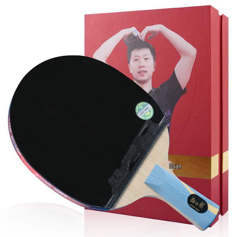 DHS Golden Grand Slam Ma Long Hurricane 9-Star Table Tennis Racket Set