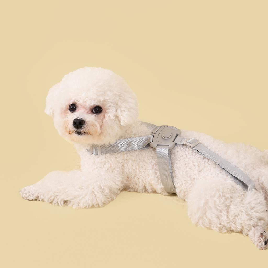 Quick Release Dog Harness Leash No Pull Pet Harness Adjustable Soft Harness For Small Medium Dog Pet Walking Chihuahua