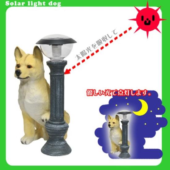 Solar Animal Dog Shiba Inu Entryway Shiba Inu Taro Dog Light, Figurine, Figurine, Figurine, [Welcome Home!] Entryway, Gardening,