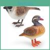 Beautifully Crafted Plastic Animal Models Duck Sparrow Finch And Tit Great For Tabletop Decoration And Gifts