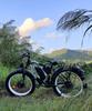 Bicicleta eléctrica PHILODO H8, motor de 3000W, batería de 48V 26Ah, velocidad máxima 56 km/h, autonomía de 100 km, neumáticos de 26x4.0 pulgadas