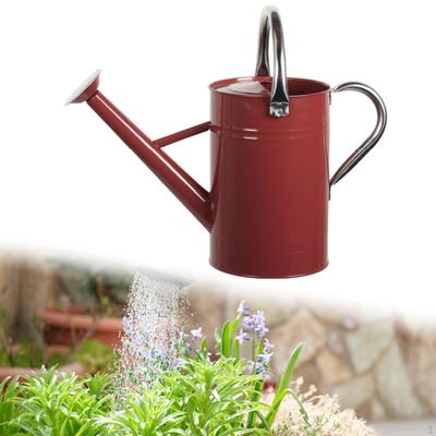 5L Watering Can for Indoor And Outdoor Plants, Decorative, Sturdy Construction, Stainless Steel