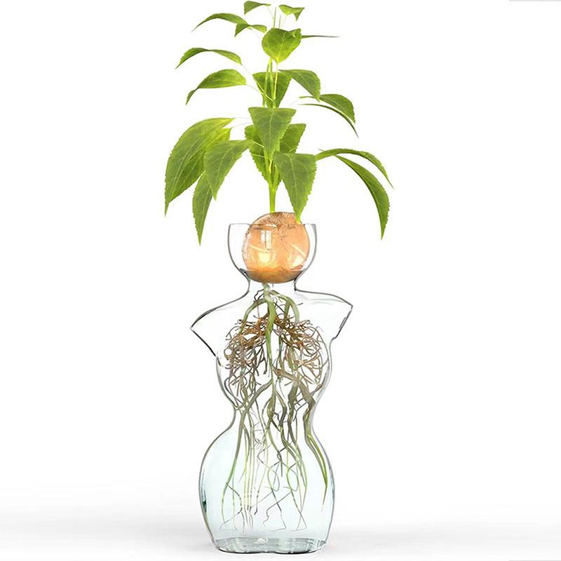 Vaso Corpo in Vetro Trasparente Vaso Germogliatori per Semi di Avocado Kit per la Coltivazione di Semi Vaso per Avocado per Amanti del Giardinaggio Decorazione per la Casa