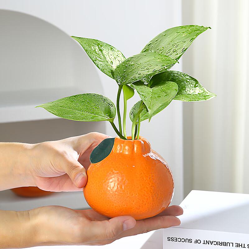

Modern Decorative Vases & Hydroponic Planters