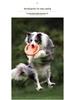 Bite-Resistant Elastic Frisbee Tug Toy for Medium and Small Dogs - Interactive Training for Golden Retrievers and Border Collies.