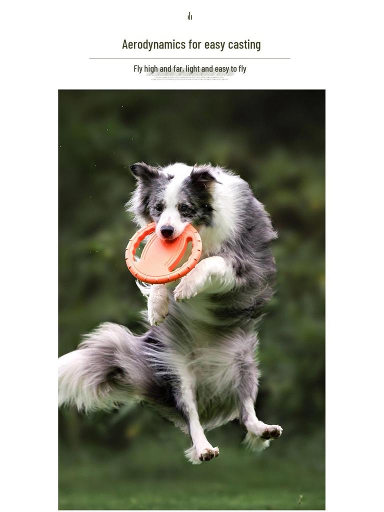 Bite-Resistant Elastic Frisbee Tug Toy for Medium and Small Dogs - Interactive Training for Golden Retrievers and Border Collies.